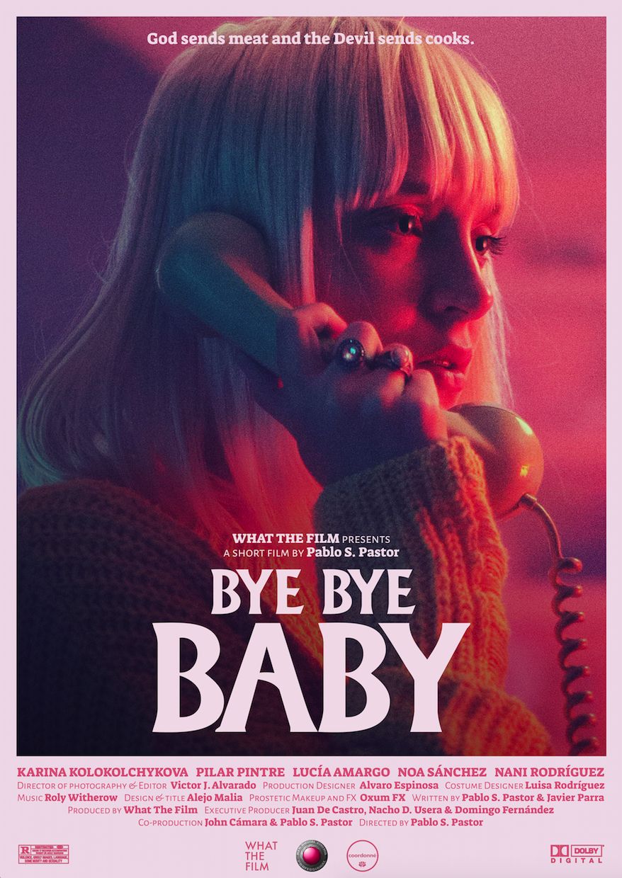 Póster del proyecto Bye Bye Baby